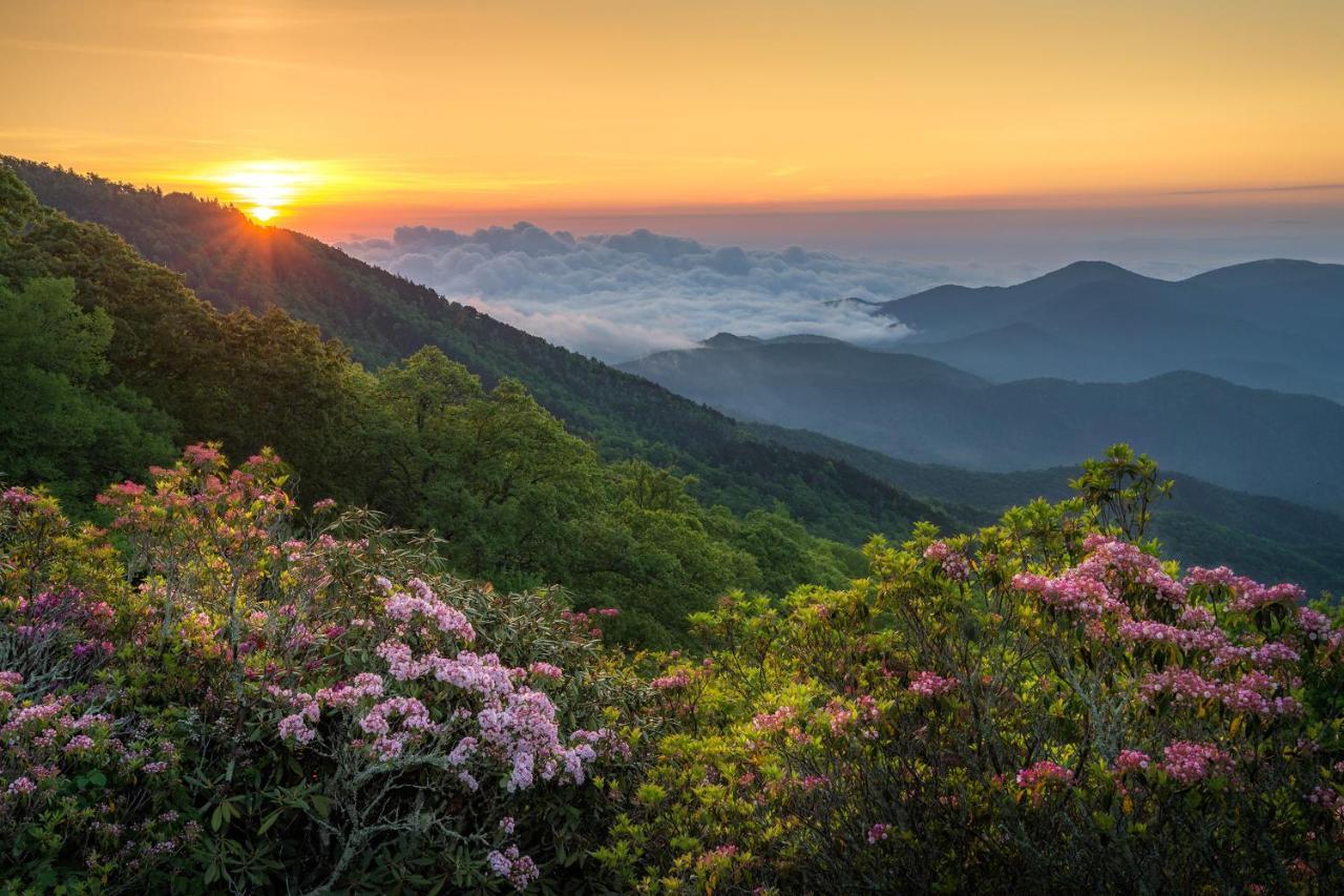 Cool Springs Manor Villa Asheville Ngoại thất bức ảnh